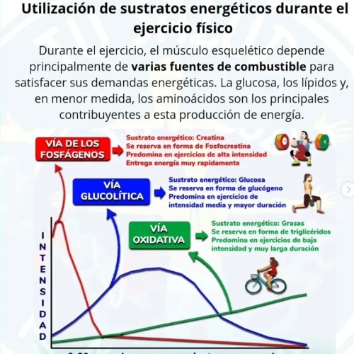 Sin título Sin título